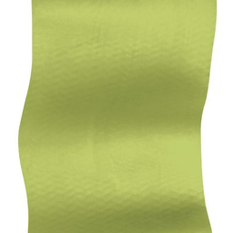 Big Agnes Twister Cane Biofoam Sleeping Mat